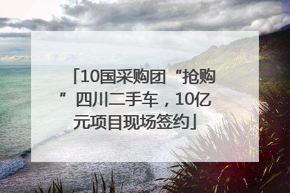 10国采购团“抢购”四川二手车，10亿元项目现场签约