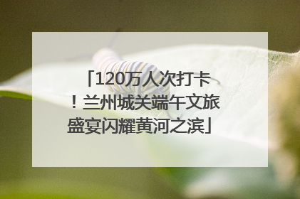 120万人次打卡！兰州城关端午文旅盛宴闪耀黄河之滨