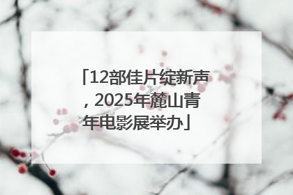 12部佳片绽新声，2025年麓山青年电影展举办