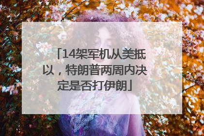 14架军机从美抵以，特朗普两周内决定是否打伊朗