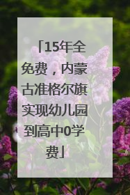 15年全免费，内蒙古准格尔旗实现幼儿园到高中0学费