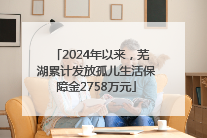 2024年以来，芜湖累计发放孤儿生活保障金2758万元