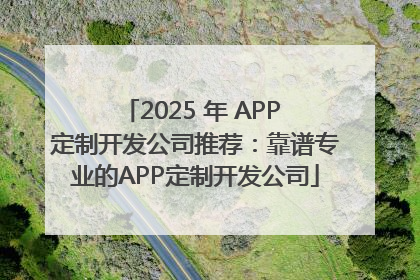 2025 年 APP 定制开发公司推荐：靠谱专业的APP定制开发公司
