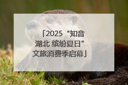 2025“知音湖北 缤纷夏日”文旅消费季启幕