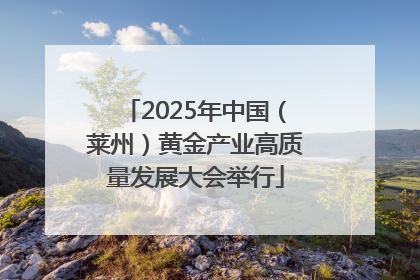 2025年中国（莱州）黄金产业高质量发展大会举行