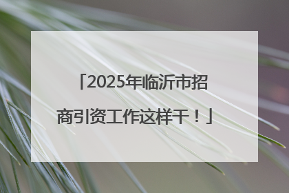2025年临沂市招商引资工作这样干！