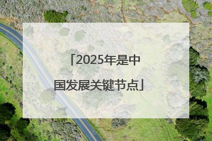 2025年是中国发展关键节点