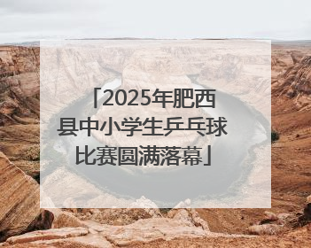 2025年肥西县中小学生乒乓球比赛圆满落幕