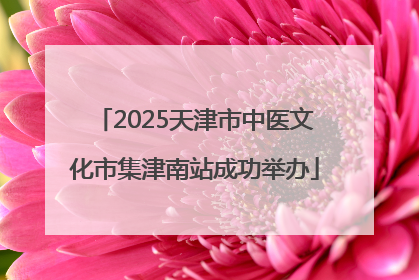 2025天津市中医文化市集津南站成功举办