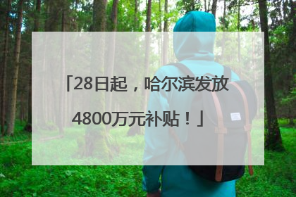 28日起，哈尔滨发放4800万元补贴！
