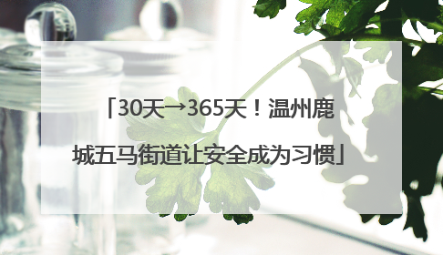 30天→365天！温州鹿城五马街道让安全成为习惯