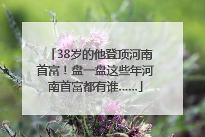 38岁的他登顶河南首富！盘一盘这些年河南首富都有谁……