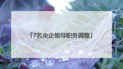 7名央企领导职务调整