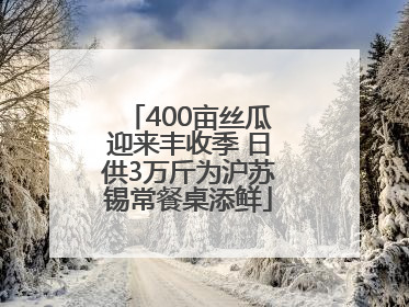 400亩丝瓜迎来丰收季 日供3万斤为沪苏锡常餐桌添鲜
