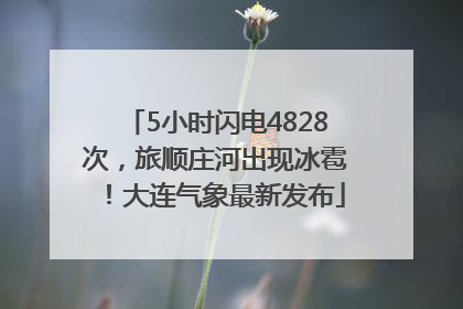 5小时闪电4828次，旅顺庄河出现冰雹！大连气象最新发布