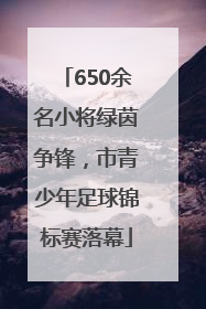 650余名小将绿茵争锋，市青少年足球锦标赛落幕