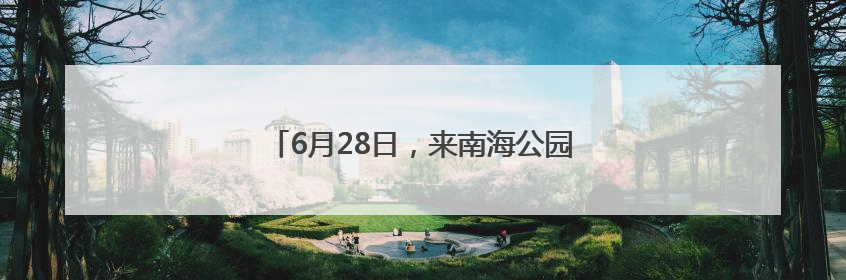 6月28日，来南海公园玩转超燃 “海洋大集”