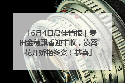 6月4日最佳情报｜麦田金穗飘香迎丰收，凌霄花开娇艳多姿！恭喜