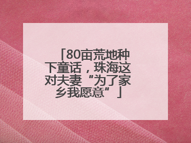 80亩荒地种下童话，珠海这对夫妻“为了家乡我愿意”