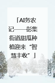 AI务农记——彭集街道甜瓜种植迎来“智慧丰收”