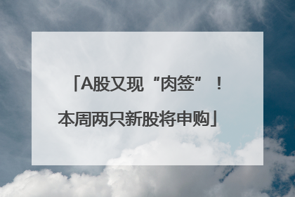 A股又现“肉签”！本周两只新股将申购