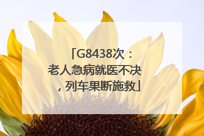 G8438次：老人急病就医不决，列车果断施救