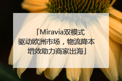 Miravia双模式驱动欧洲市场，物流降本增效助力商家出海