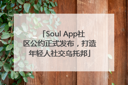 Soul App社区公约正式发布，打造年轻人社交乌托邦